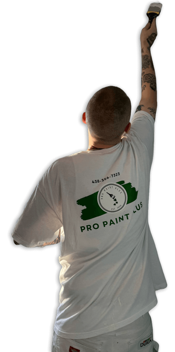 pro-paint-plus-intro