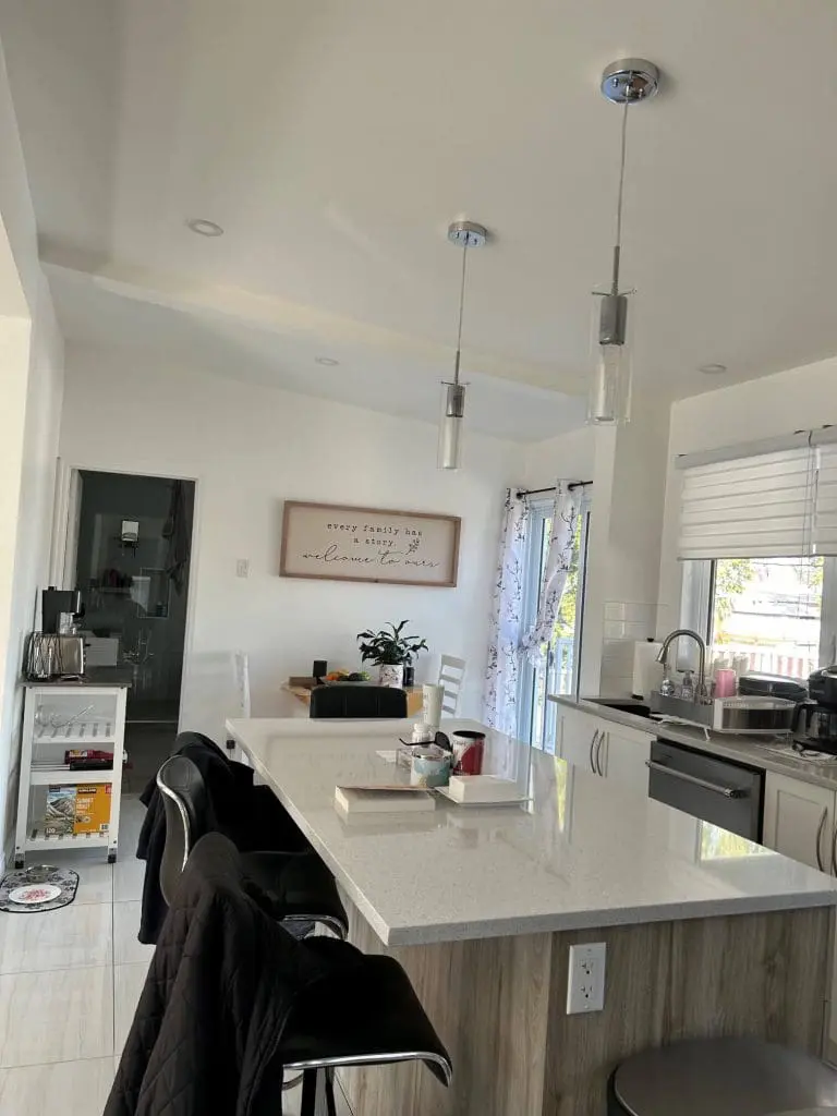 Bright minimalist kitchen featuring crisp white walls, quartz island, and high-quality interior residential painting by Pro Paint Plus.
